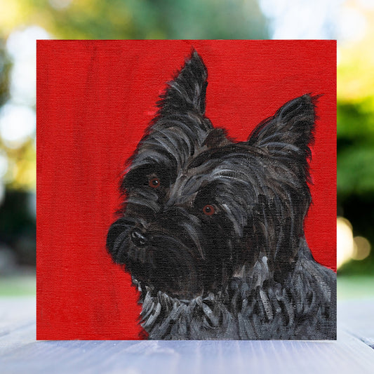 Bertie the Cairn Terrier Greeting Card