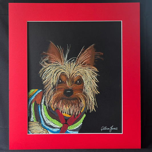 Yorkie in a Stripy Jumper Pastel Drawing